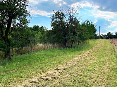 Prodej zahrady 914 m²