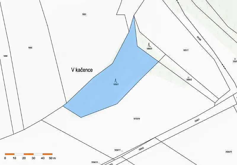 Prodej lesa 3317 m², Pavlice – náhled fotky 3