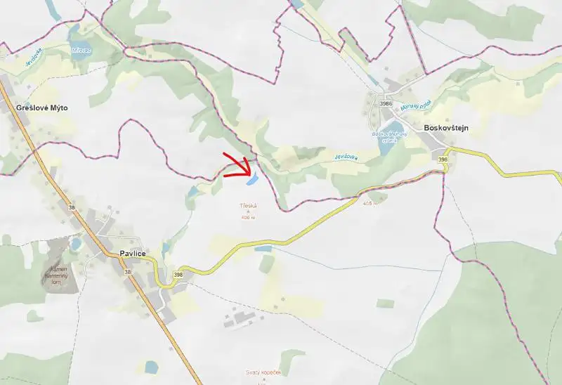 Prodej lesa 3317 m², Pavlice – náhled fotky 1
