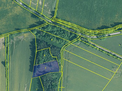 Prodej  lesa 3 594 m²