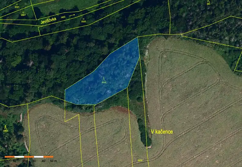 Prodej lesa 2506 m², Boskovštejn – náhled fotky 2