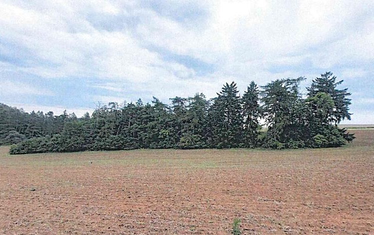 Ostatní