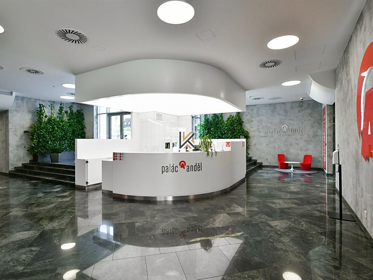Gewerbefläche zur Miete, 439 m² (9 von 11)