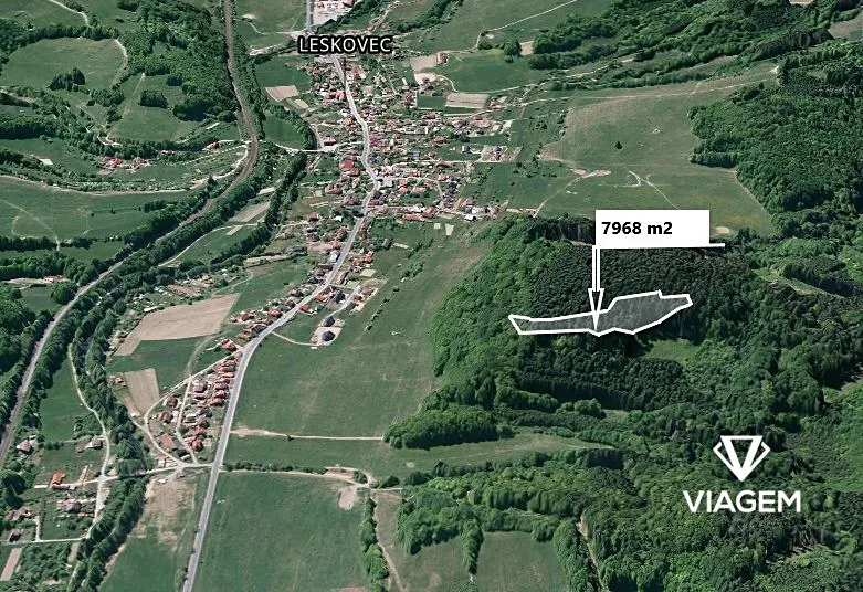 Prodej lesa 7968 m²