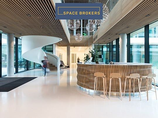 Pronájem kanceláře 650 m² – fotografie 3