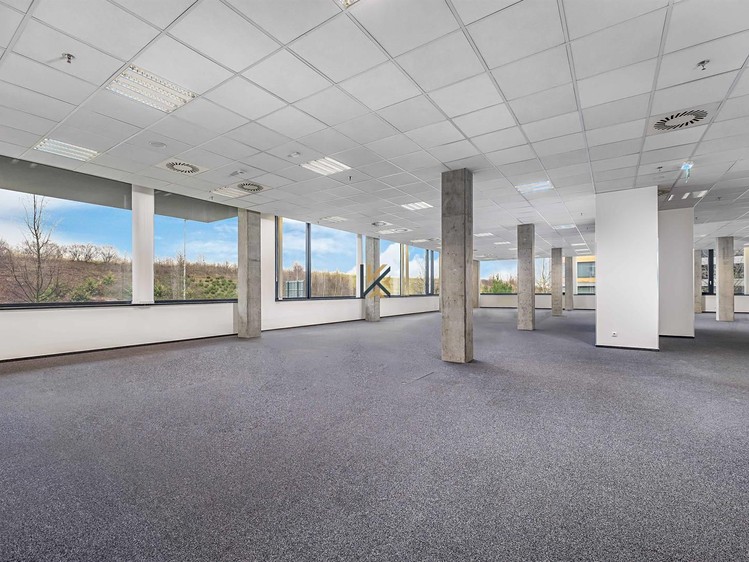 Комерційне приміщення в оренду, 2 427 м² (6 з 10)