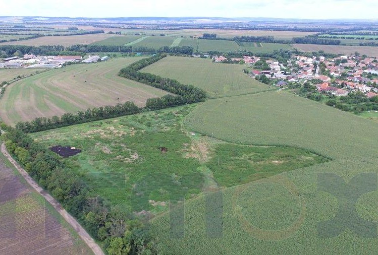 Ostatní