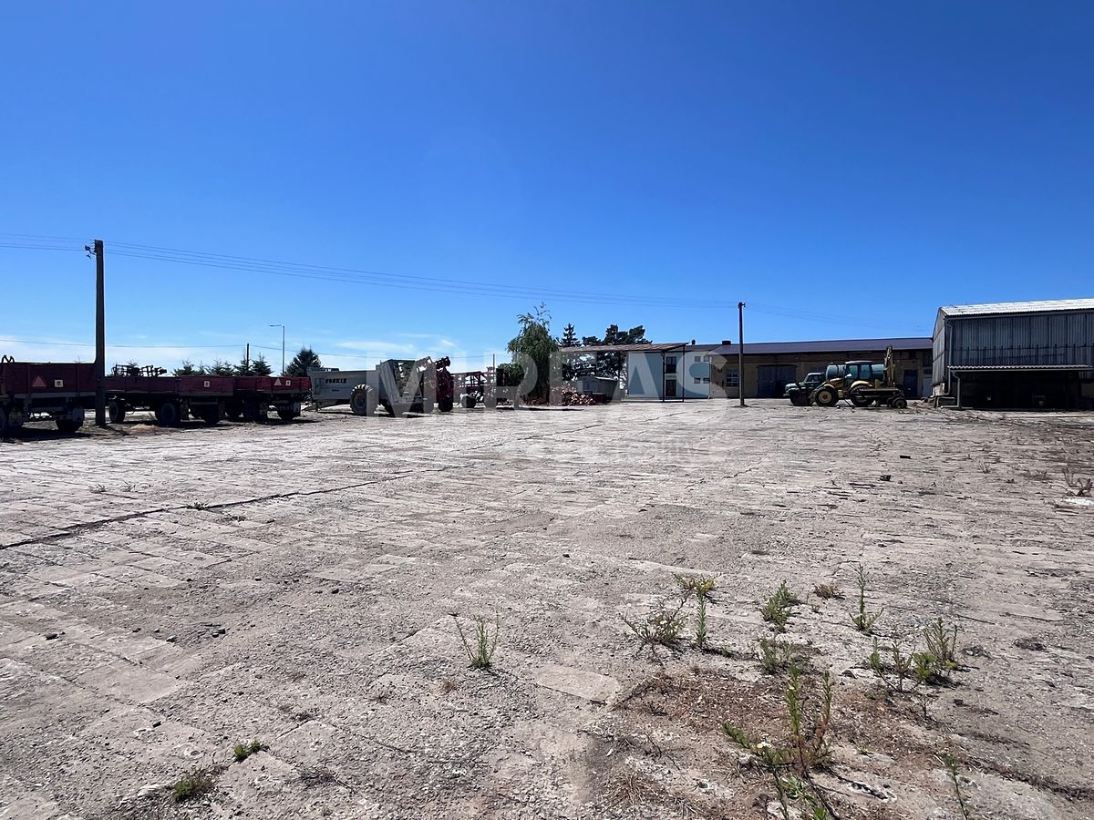 Pronájem komerčního pozemku 3325 m² – fotografie 5
