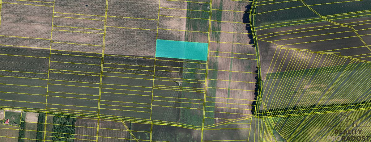 Prodej pole 2009 m²