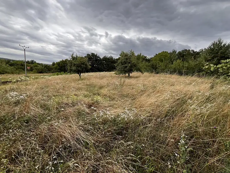 Prodej zahrady 3447 m², Oslavany – náhled fotky 1