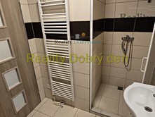 Pronájem bytu 1+kk 30 m²