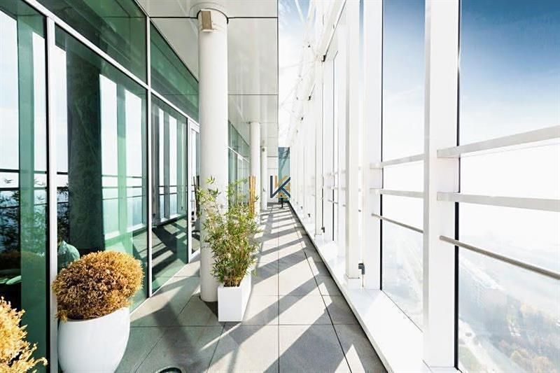 Pronájem kanceláře 462 m² – fotografie 3