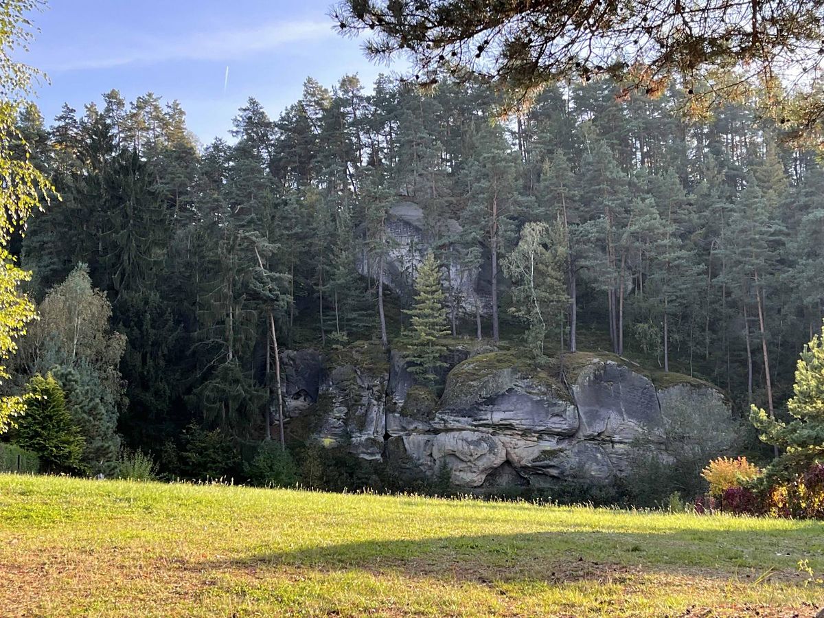 Prodej stavebního pozemku 2363 m²