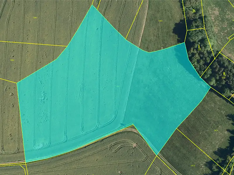 Prodej pole 25666 m², Partutovice – náhled fotky 3