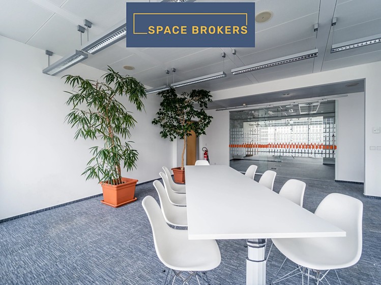 Комерційне приміщення в оренду, 850 м² (3 з 21)