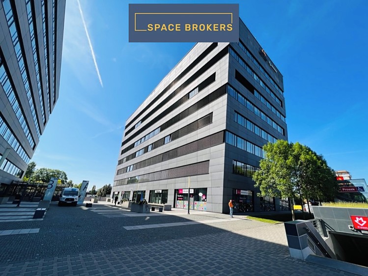 Комерційне приміщення в оренду, 285 м² (14 з 30)