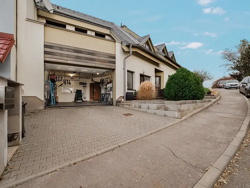 Prodej bytu 4+kk 183 m², Brno – náhled fotky 3
