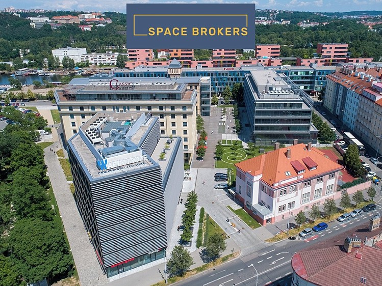 Комерційне приміщення в оренду, 564 м² (4 з 21)