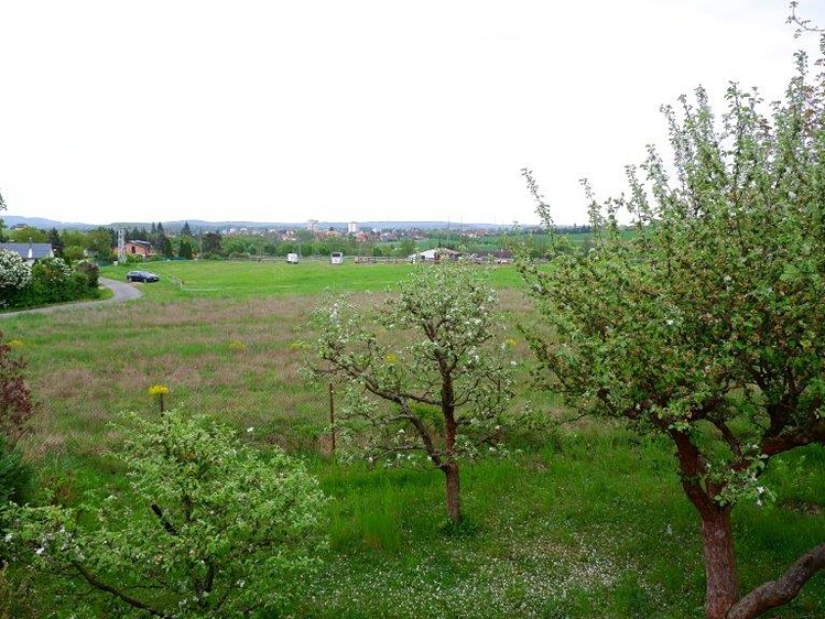 Haus zum Kauf, 136 m² (16 von 16)