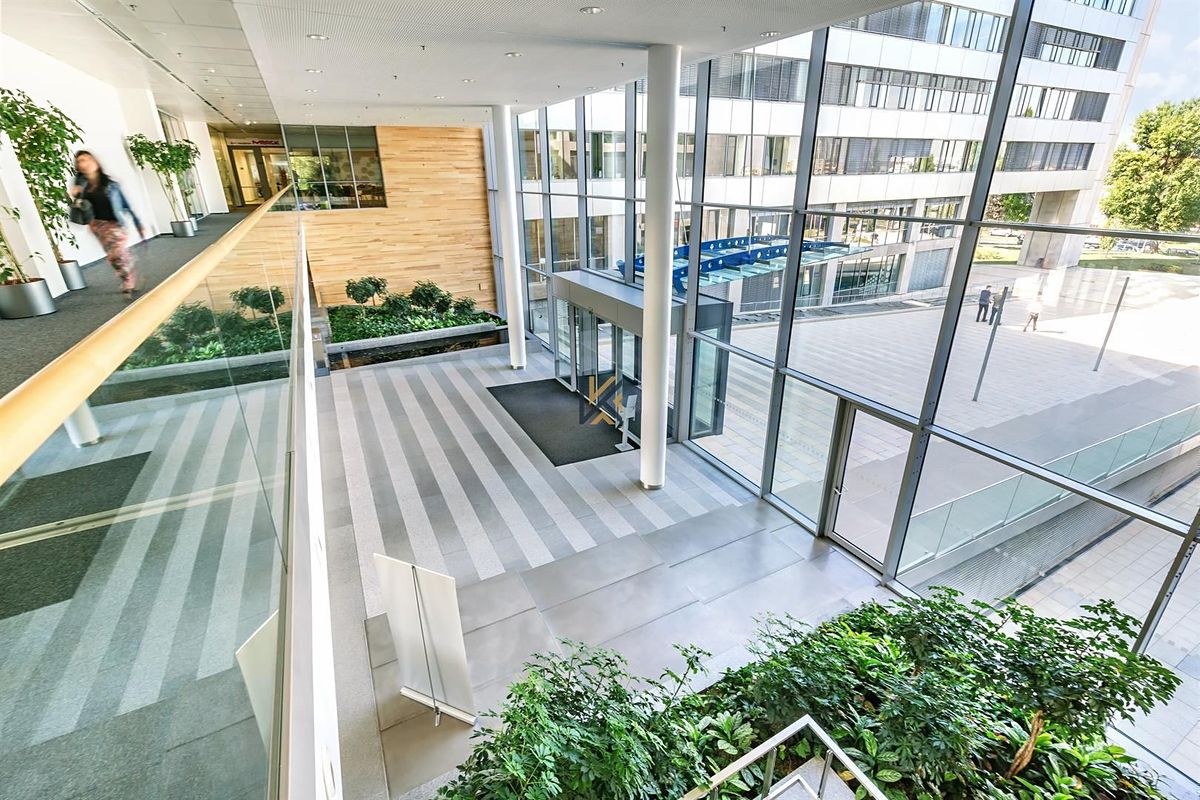 Pronájem kanceláře 651 m² – fotografie 5
