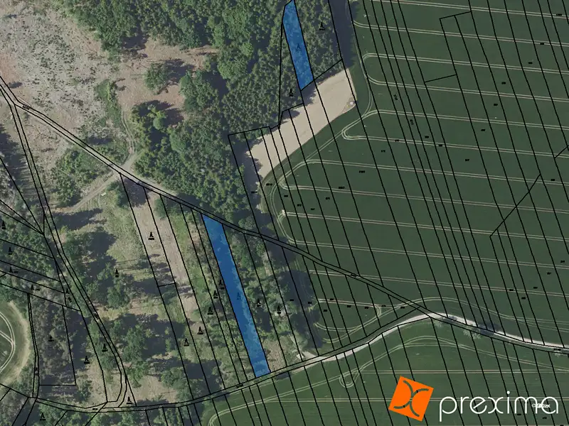 Prodej lesa 5707 m², Mnichovice – náhled fotky 1