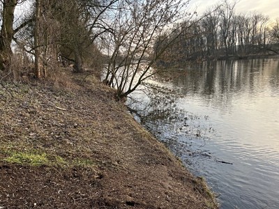 Pronájem  pozemku 160 m²