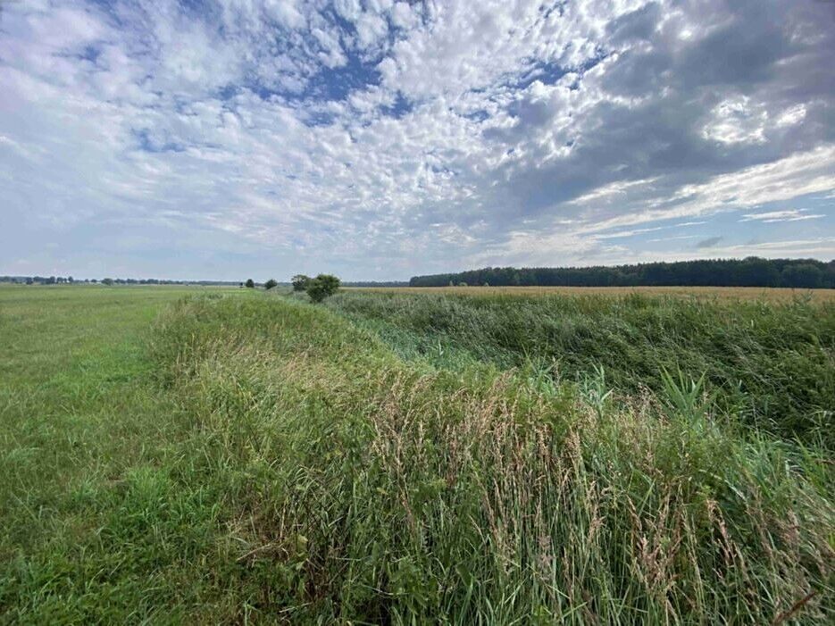 Prodej pole 16506 m² – fotografie 2