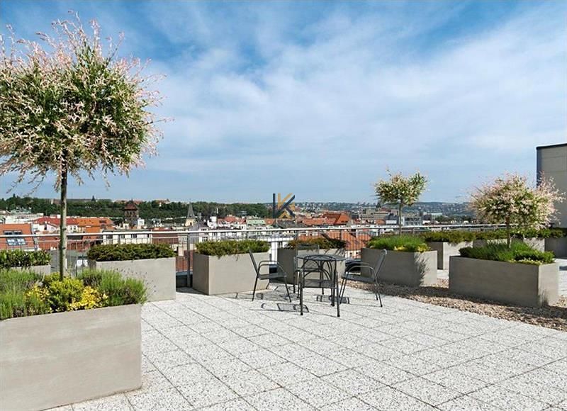 Pronájem kanceláře 653 m² – fotografie 3