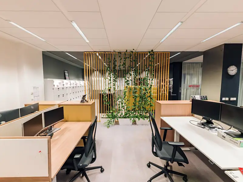 Pronájem kanceláře 658 m², Brno – náhled fotky 3