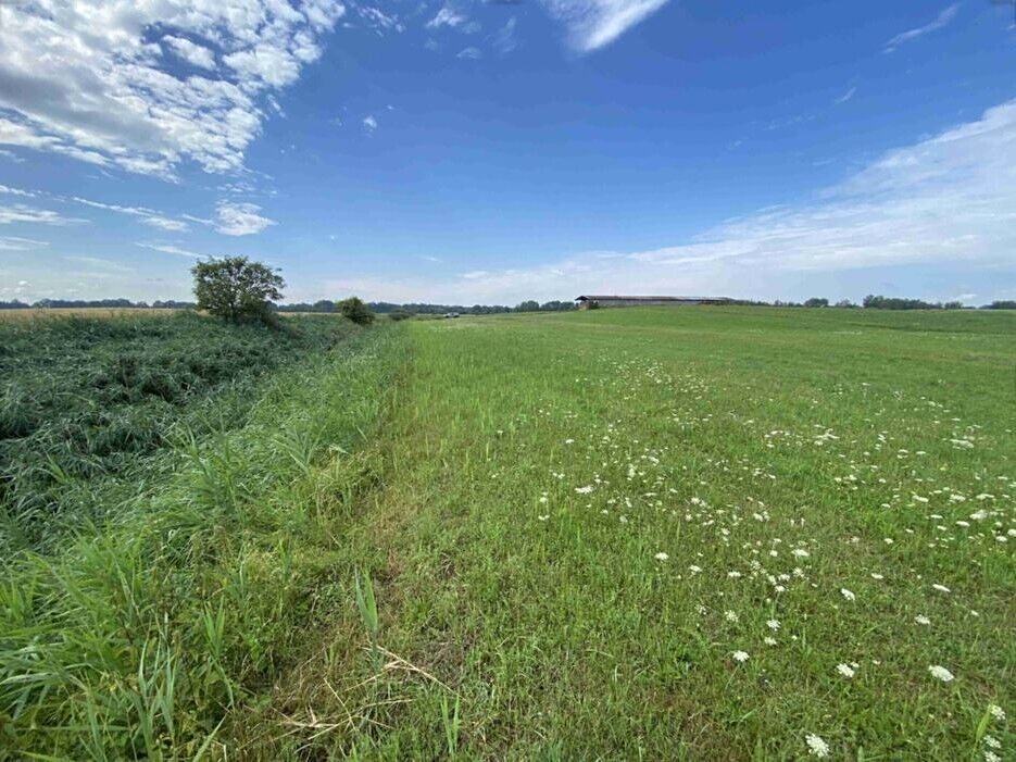 Prodej pole 16506 m² – fotografie 3
