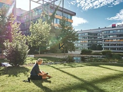 Комерційне приміщення в оренду, 2 427 м² (3 з 10)