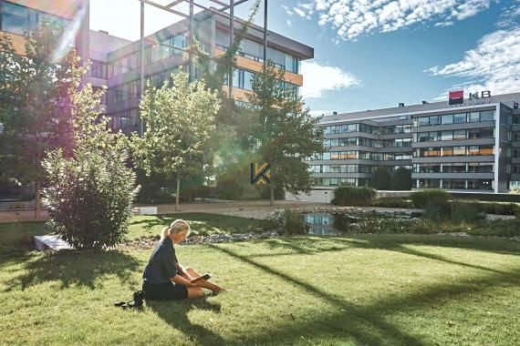 Комерційне приміщення в оренду, 2 427 м² (3 з 10)