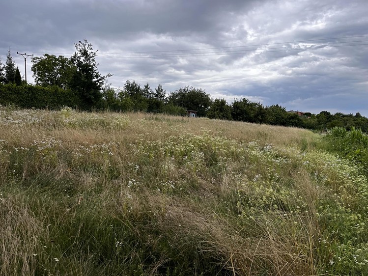 Grundstück zum Kauf, 3.447 m² (6 von 14)