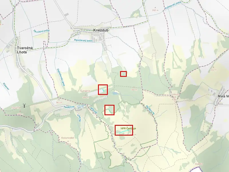 Prodej louky 6886 m², Kněždub – náhled fotky 1