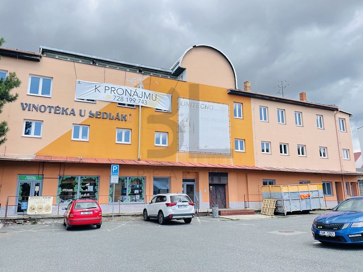 Pronájem obchodního prostoru 250 m²