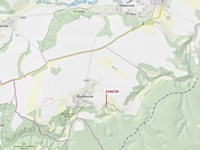 Dražba  lesa 90 m²