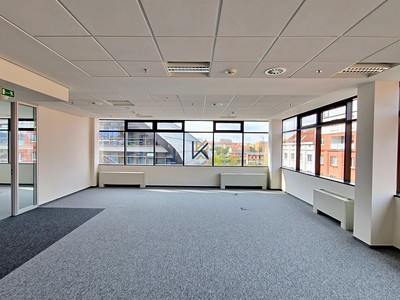 Комерційне приміщення в оренду, 455 м² (3 з 6)