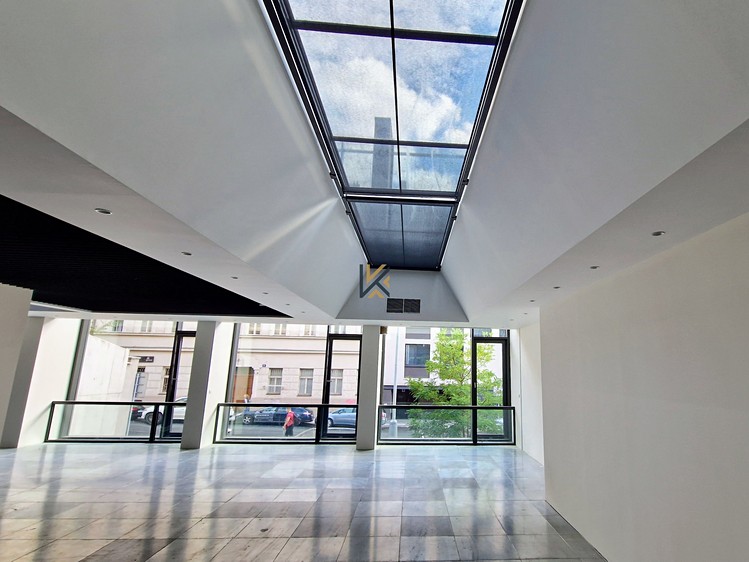 Комерційне приміщення в оренду, 345 м² (3 з 15)