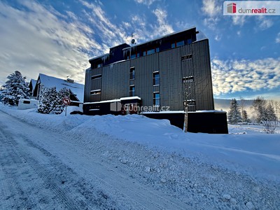 Pronájem bytu 1+1 43 m²