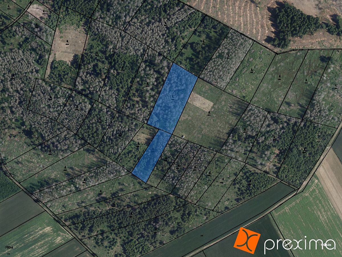 Prodej lesa 20095 m² – fotografie 3