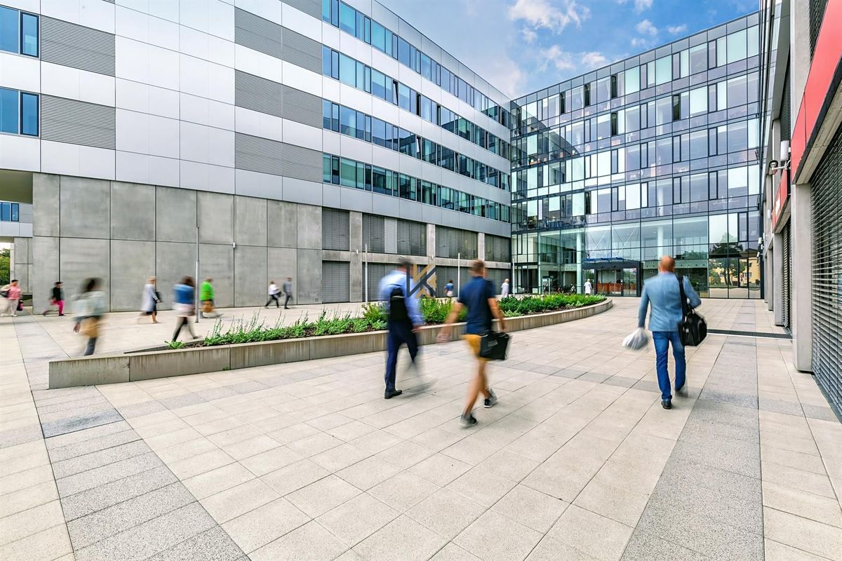 Pronájem kanceláře 651 m² – fotografie 4