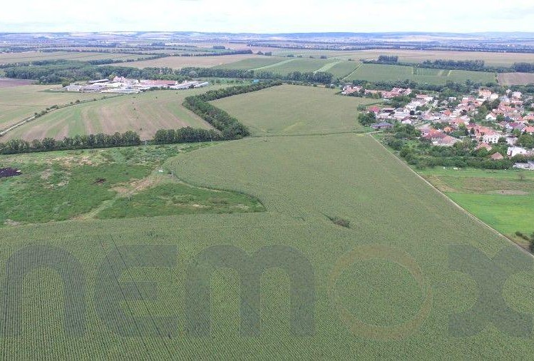 Ostatní