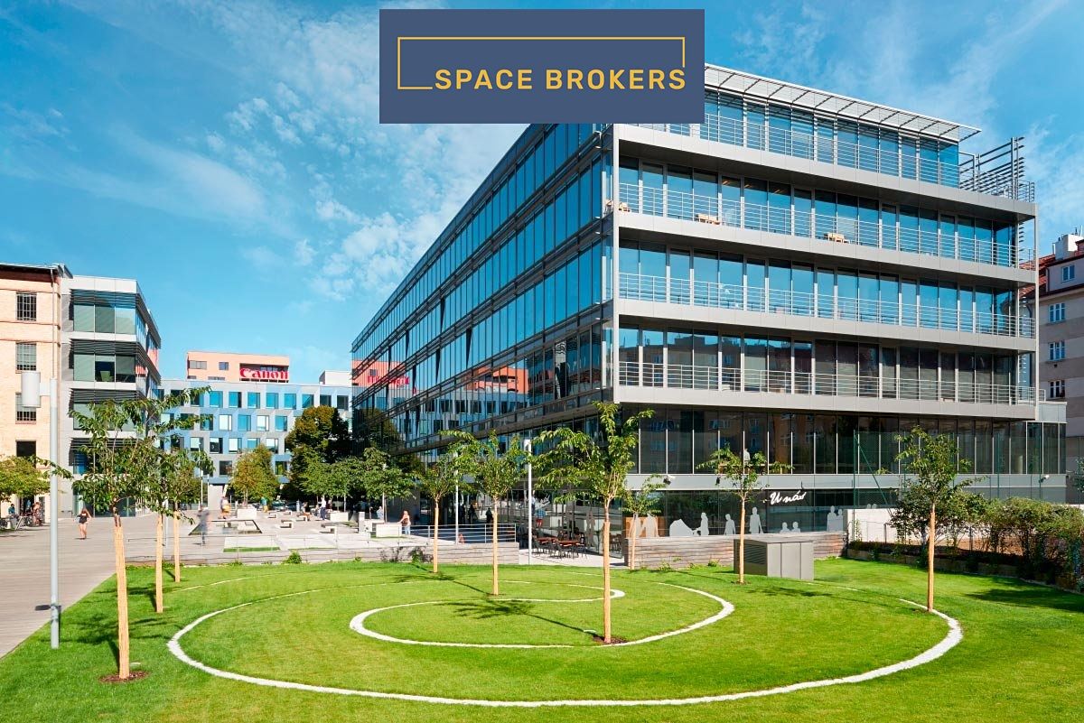 Pronájem kanceláře 564 m² – fotografie 2