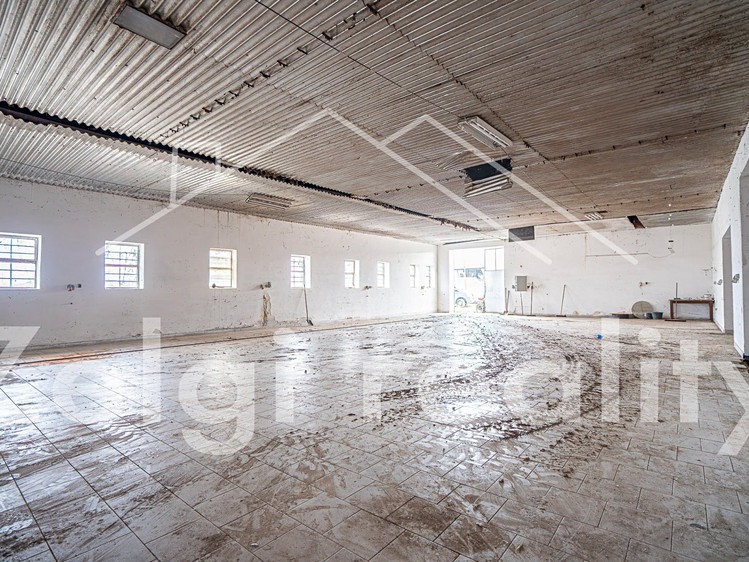 Комерційне приміщення в оренду, 550 м² (12 з 16)