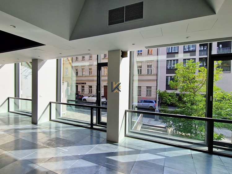 Комерційне приміщення в оренду, 345 м² (2 з 15)