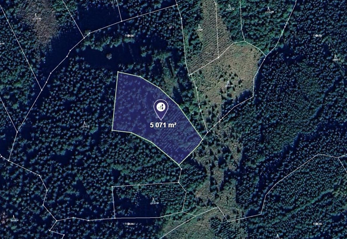 Prodej lesa 5071 m²