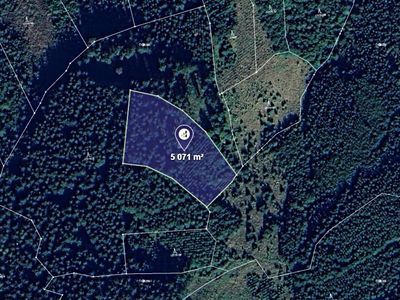 Prodej lesa 5071 m²