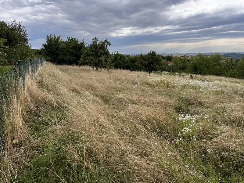Prodej zahrady 3447 m², Oslavany – náhled fotky 3