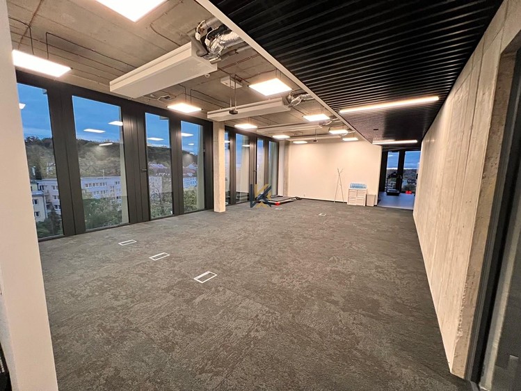 Gewerbefläche zur Miete, 518 m² (4 von 11)