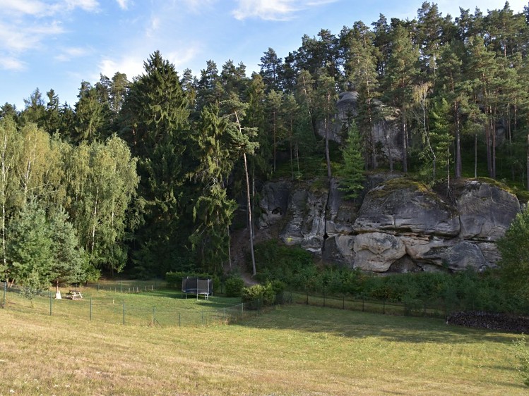 Prodej pozemku, 2 363 m² (7 z 12)